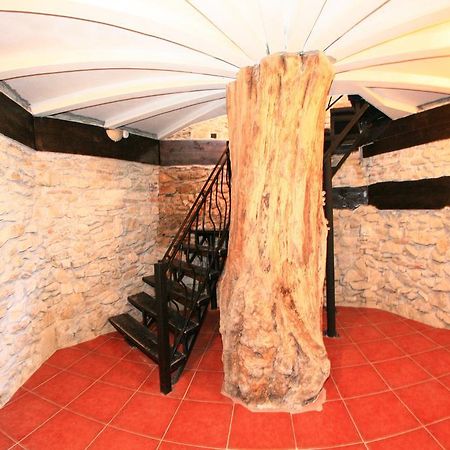 Castelul Lupilor Hotel Chimindia Luaran gambar
