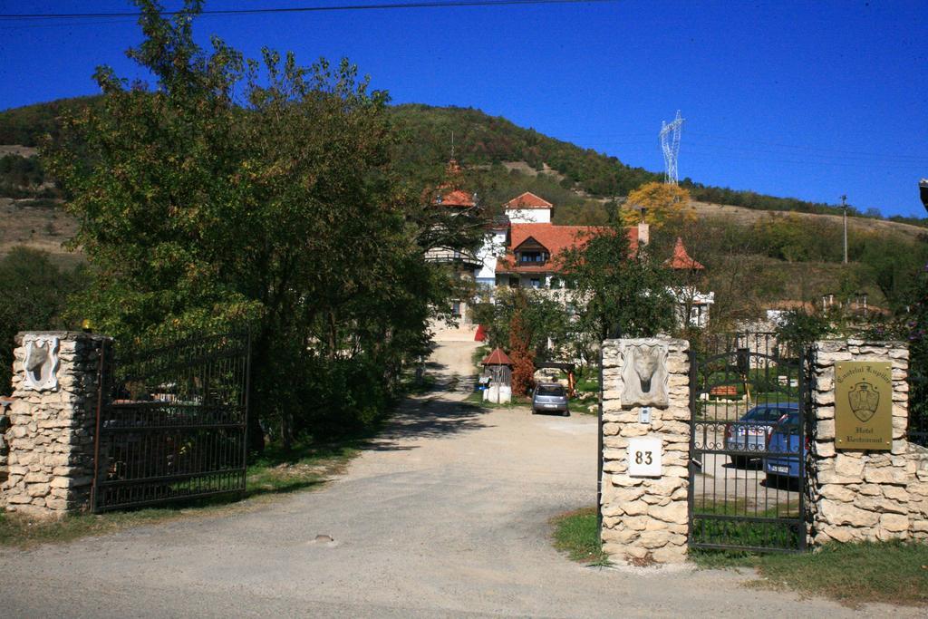Castelul Lupilor Hotel Chimindia Luaran gambar
